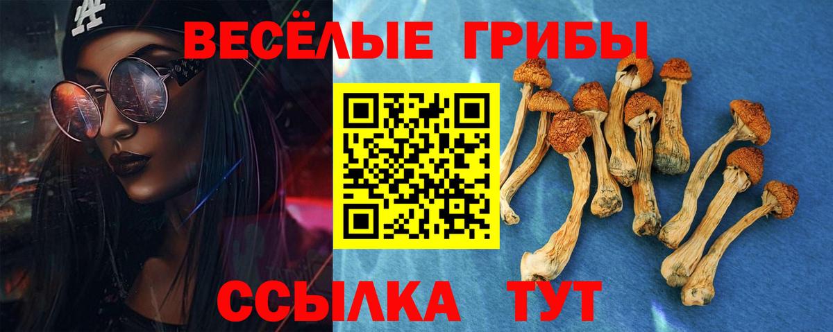 Галлюциногенные грибы Cubensis Новокубанск